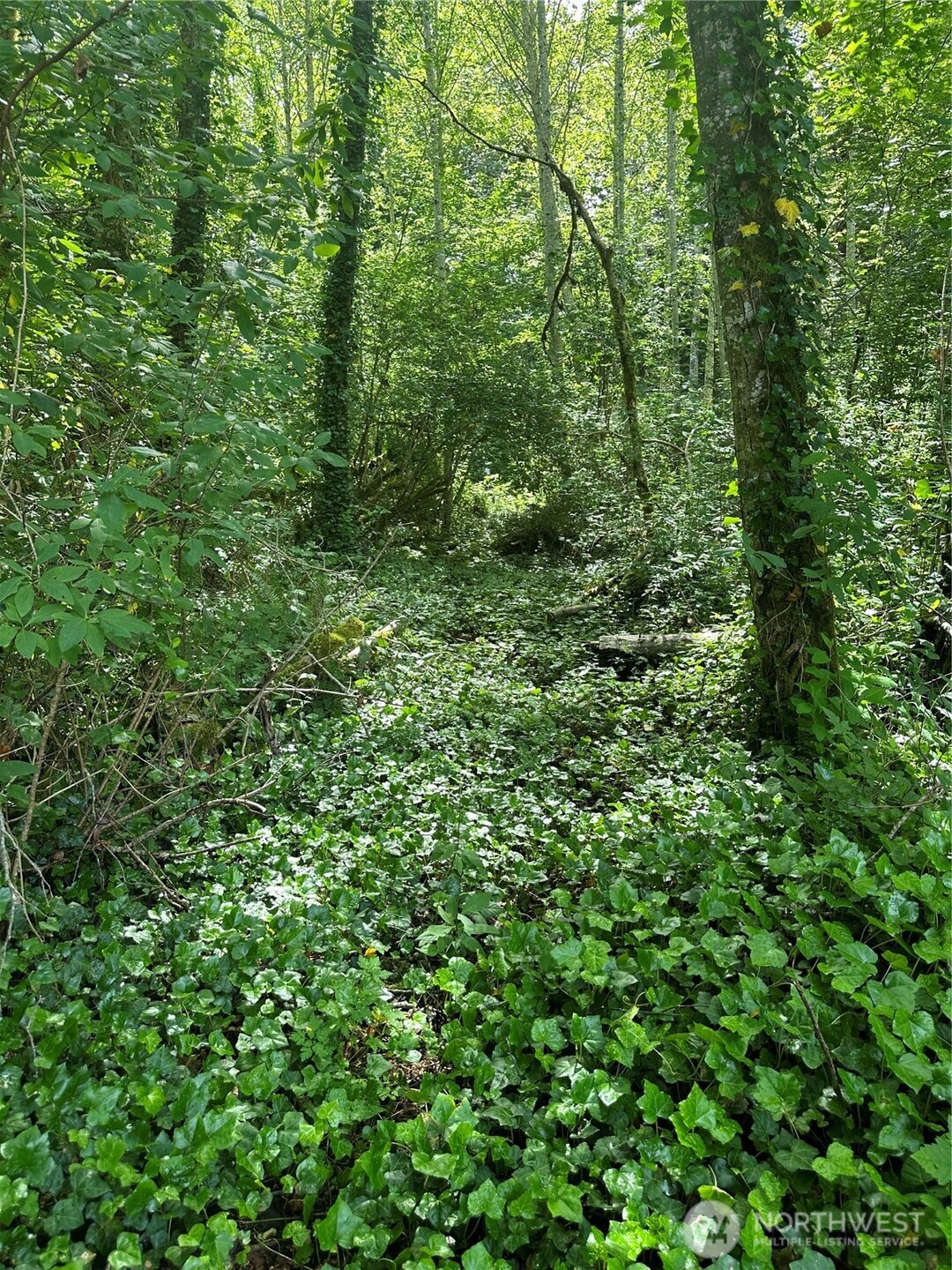 293492 State Route 101 Highway Property Photo 38