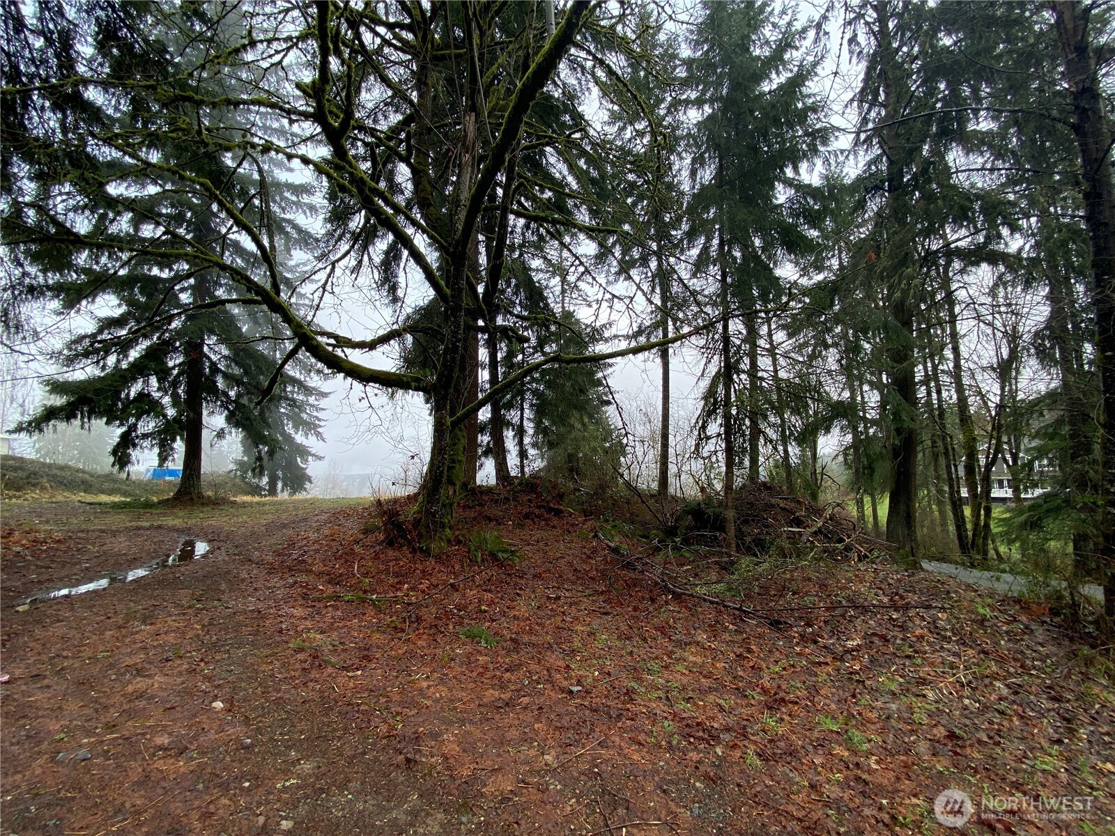 0 238th Avenue Property Photo 6