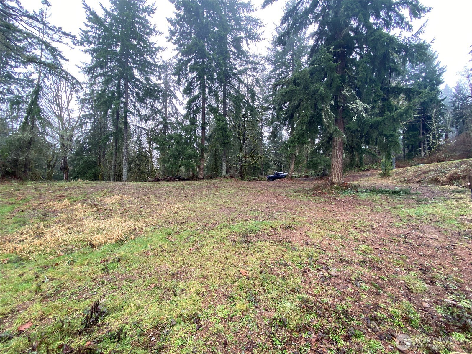 0 238th Avenue Property Photo 10