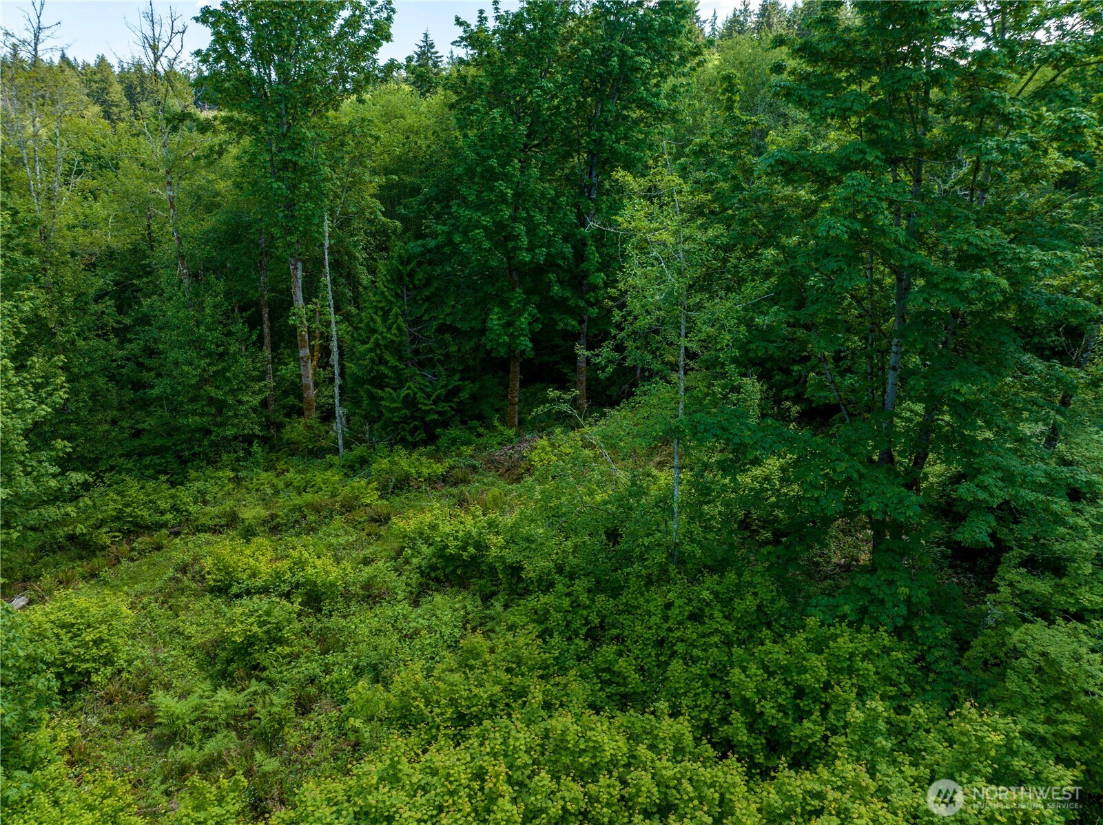 0 Valley Ridge Road Property Photo 2