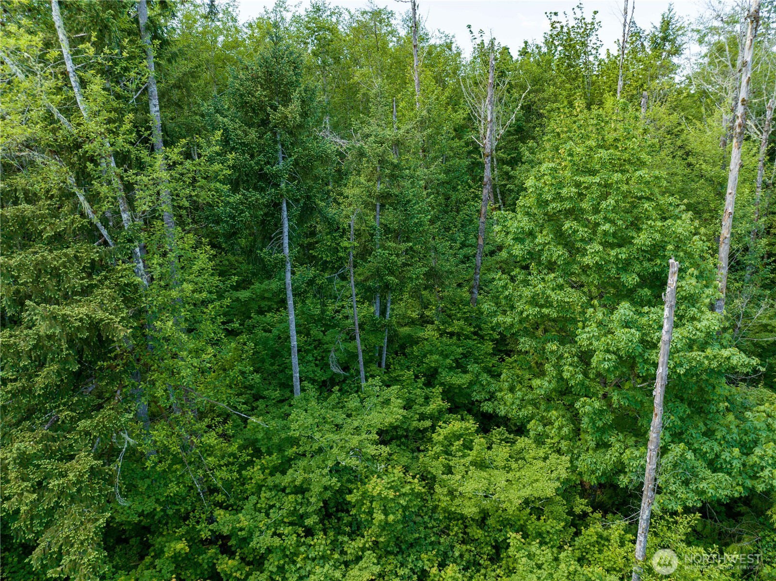 0 Valley Ridge Road Property Photo 3