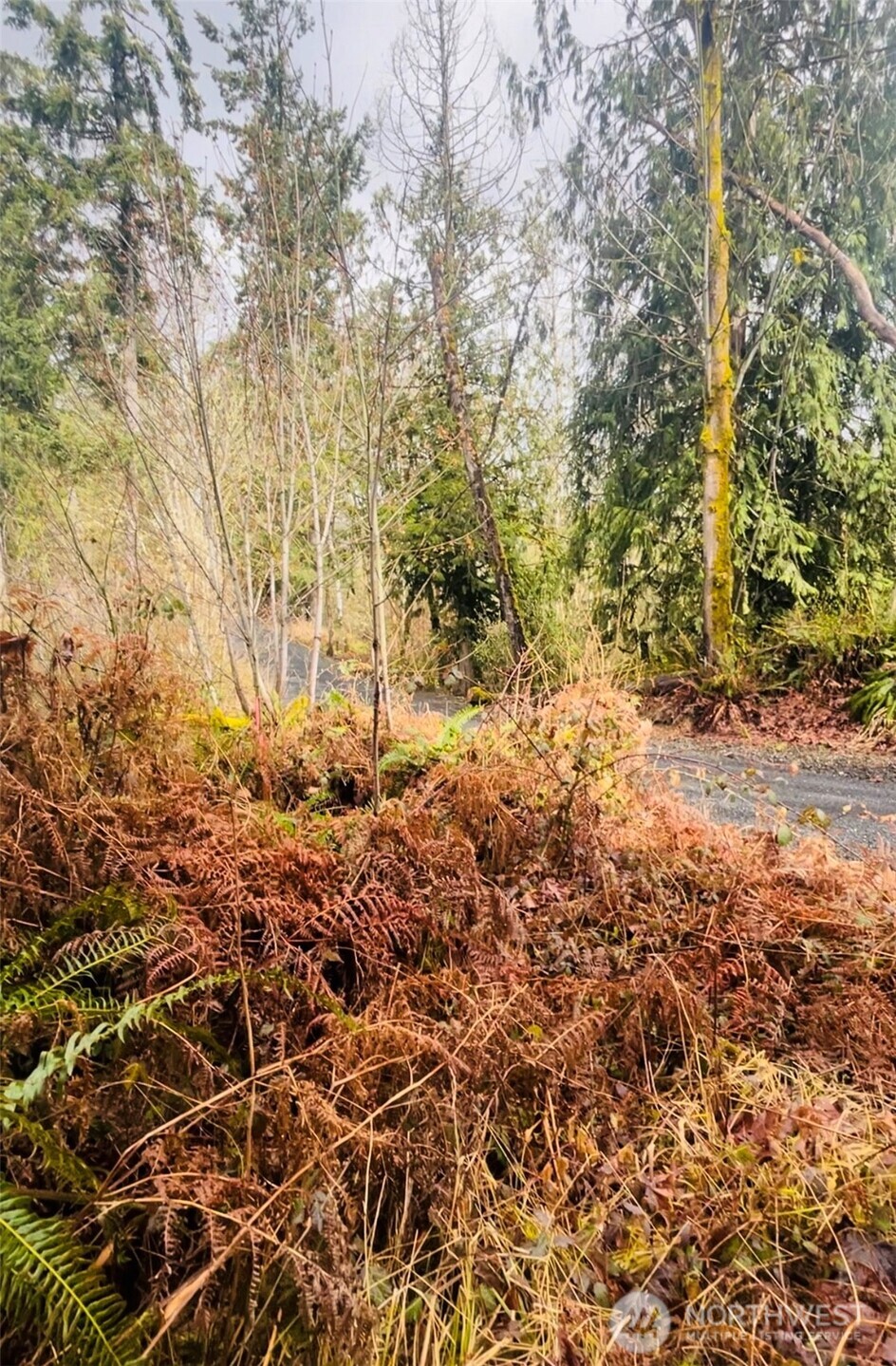 0 Valley Ridge Road Property Photo 8