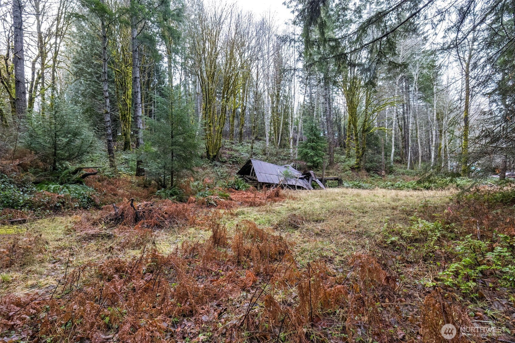 131 Yew Tree Lane Property Photo