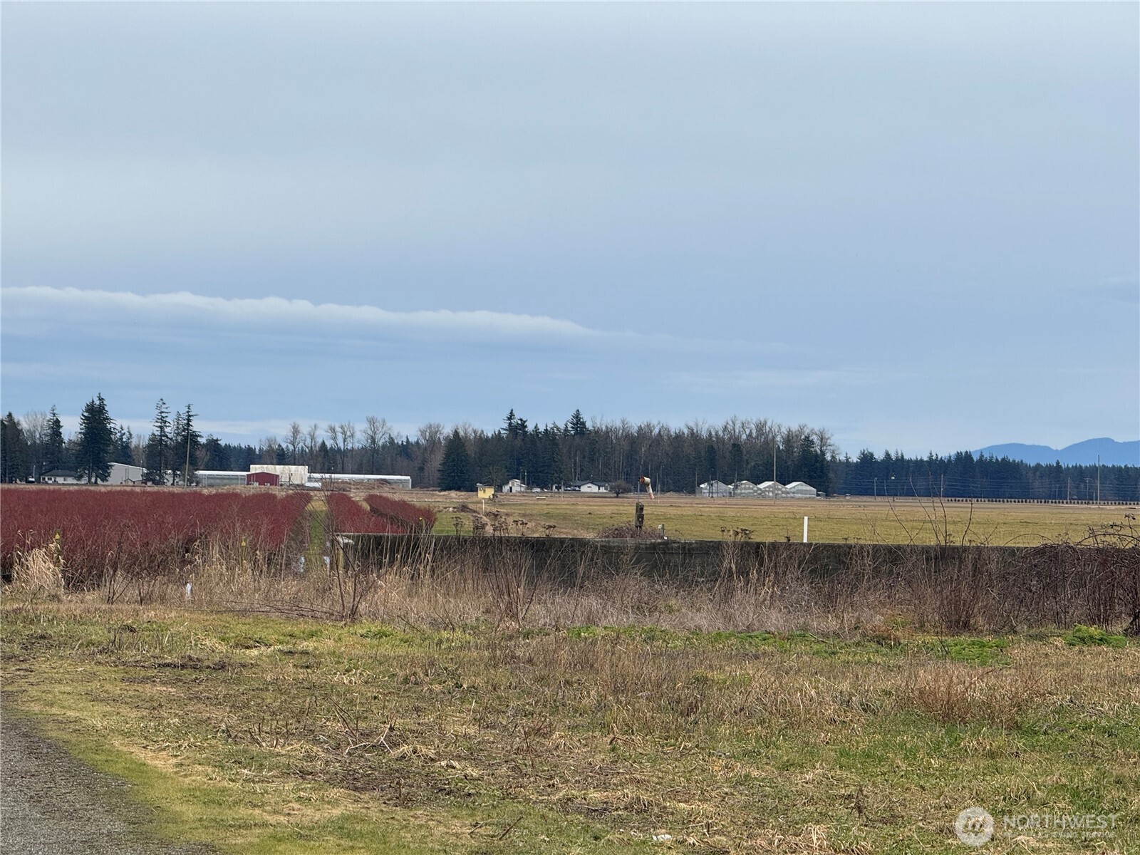 1429 W Badger Property Photo 5