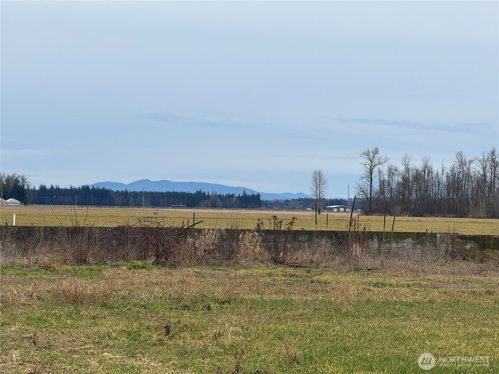 1429 W Badger Property Photo 6