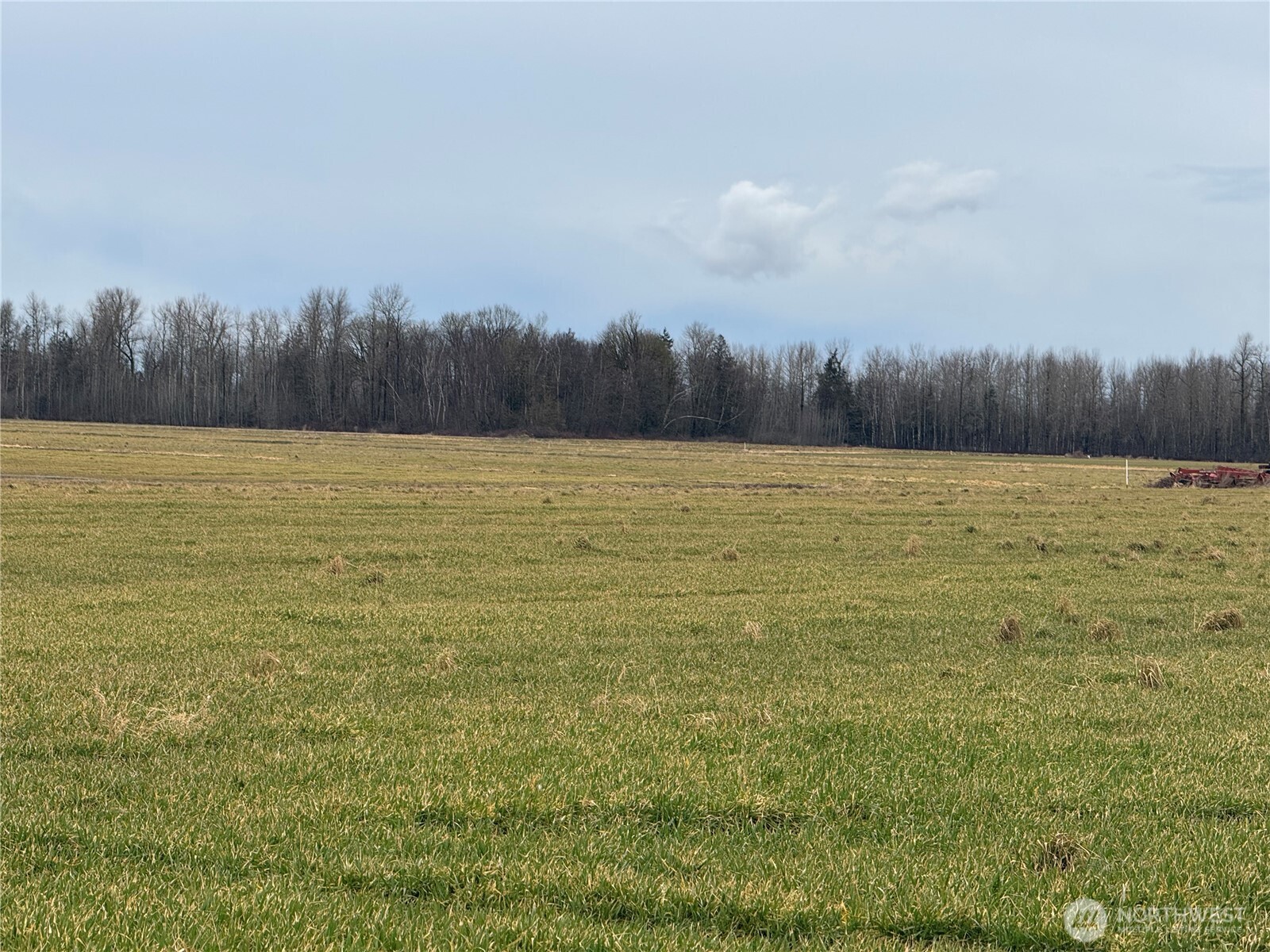 1429 W Badger Property Photo 7