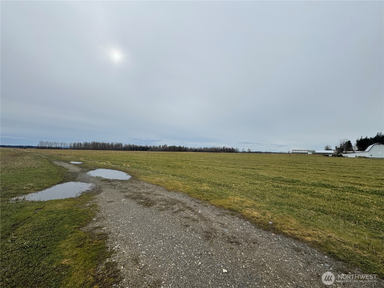 1429 W Badger Property Photo 8