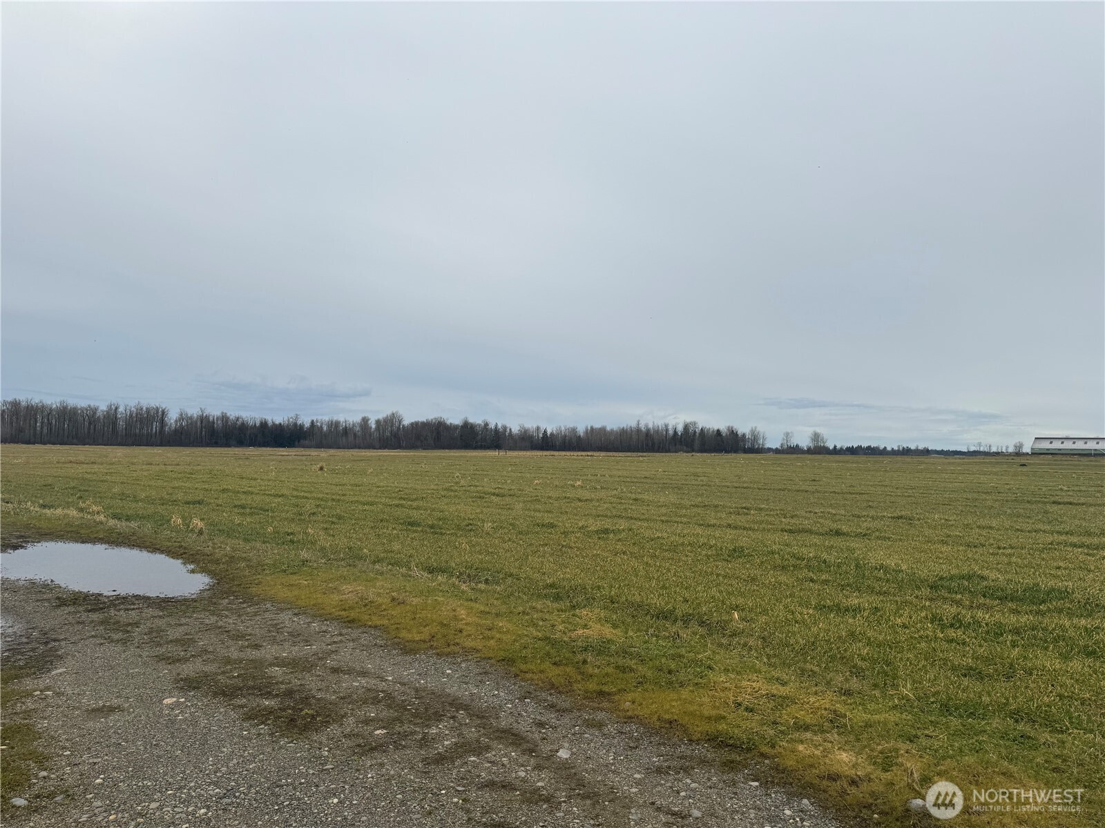 1429 W Badger Property Photo 9
