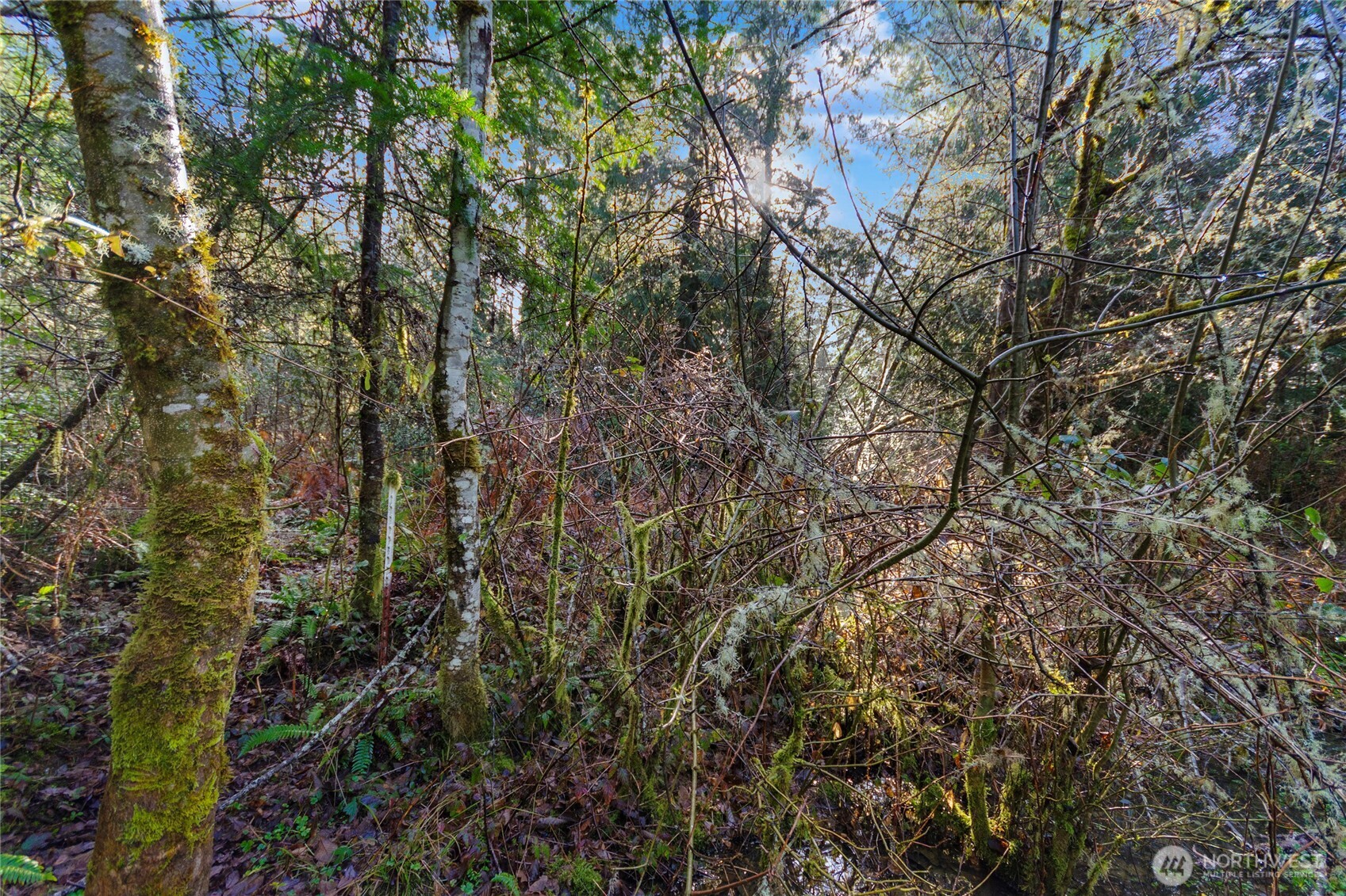 8211 128th Avenue Ct Property Photo 5