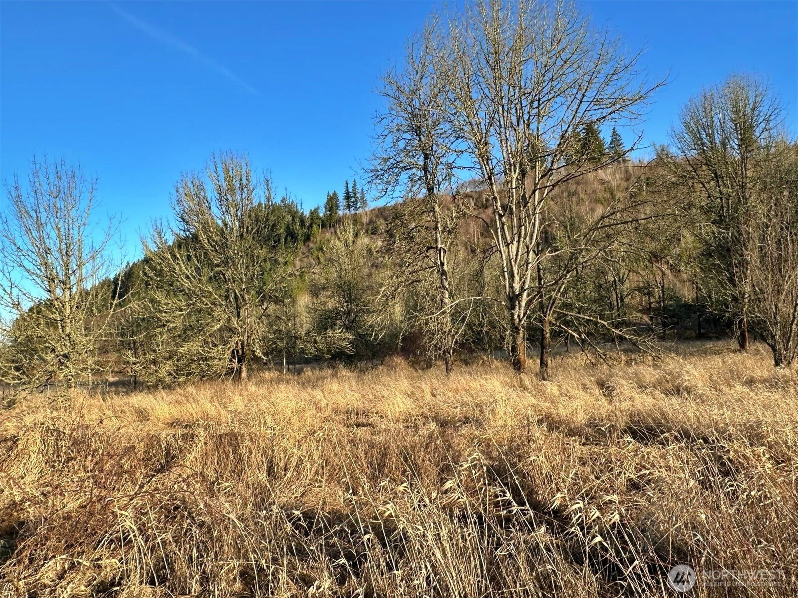 4057 - 51 Us Hwy 12 Property Photo 2