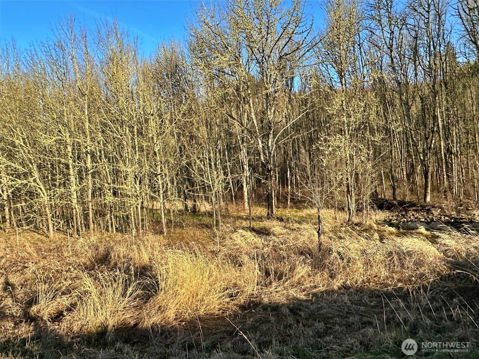 4057 - 51 Us Hwy 12 Property Photo 3