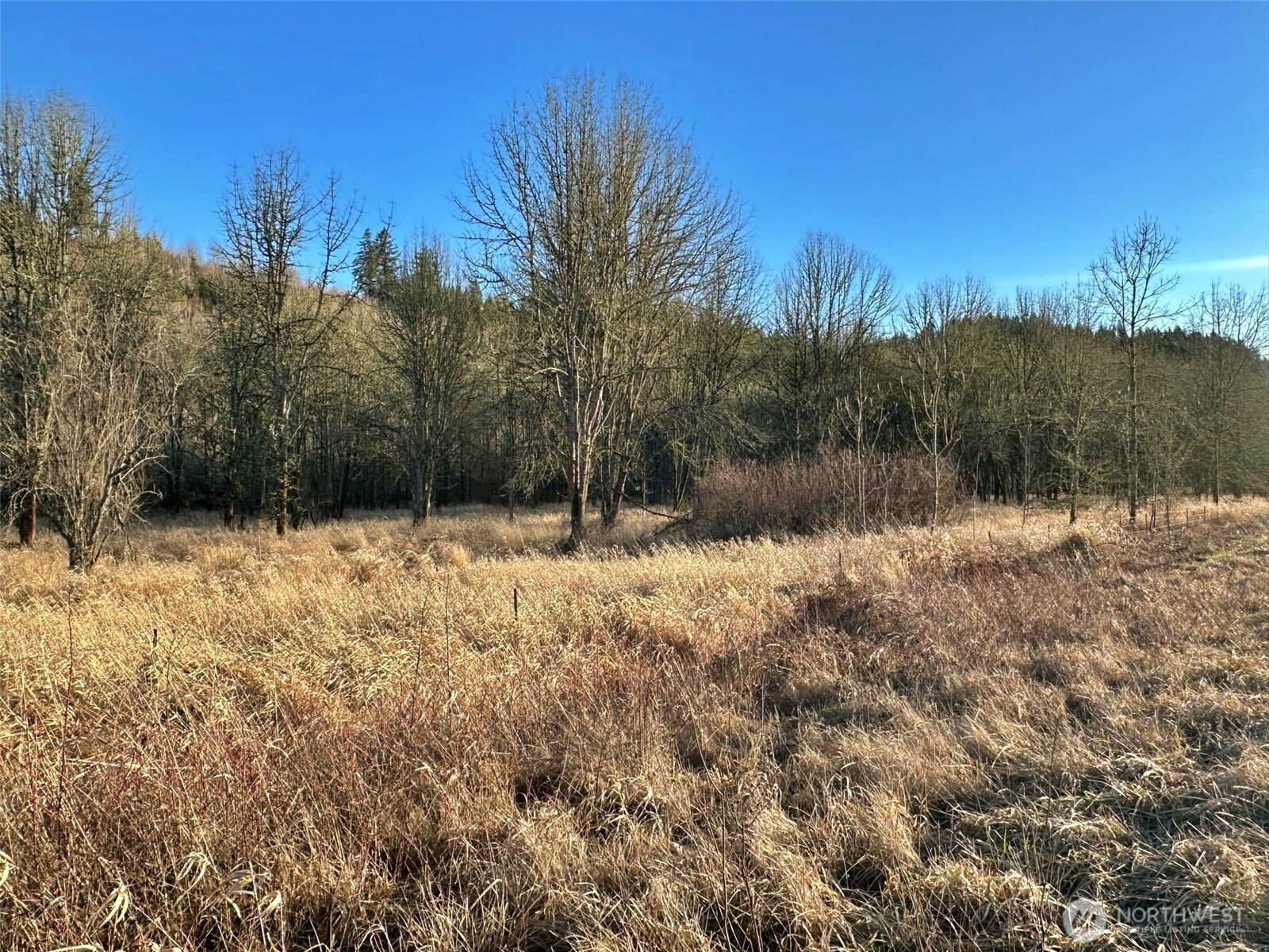 4057 - 51 Us Hwy 12 Property Photo 4