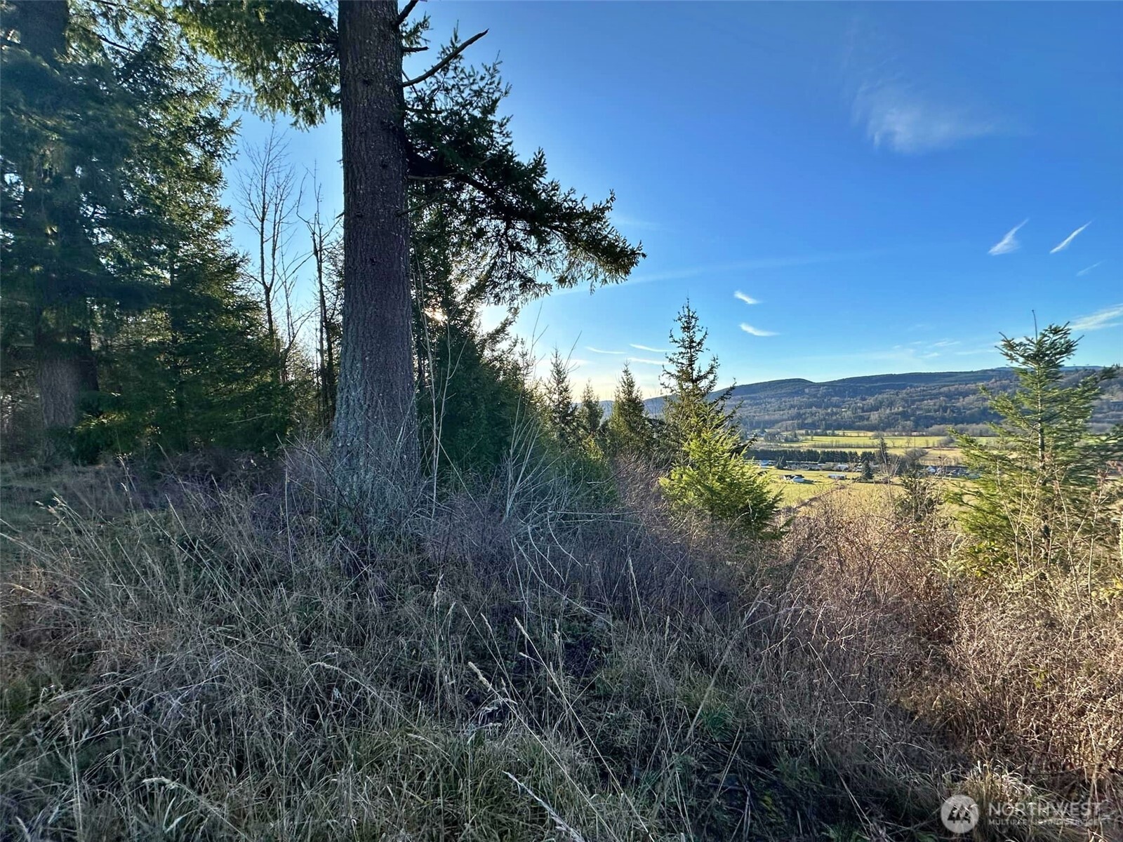 4057 - 51 Us Hwy 12 Property Photo 5