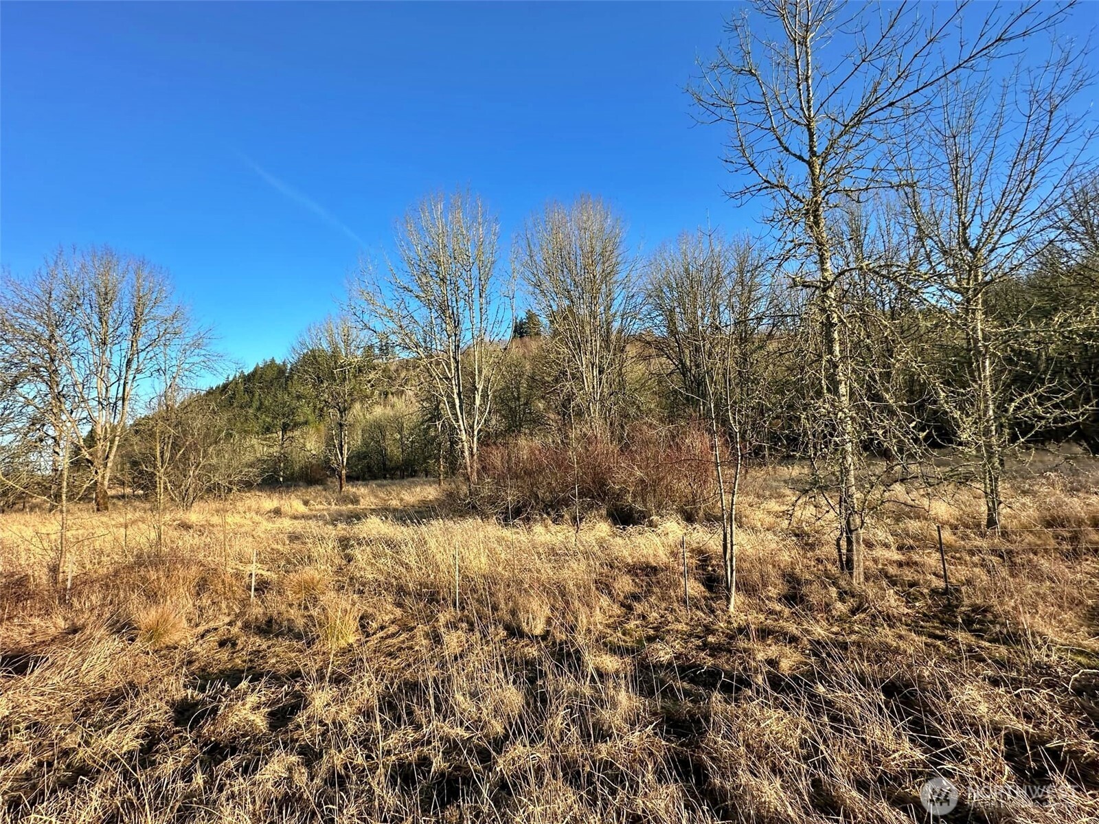 4057 - 51 Us Hwy 12 Property Photo 6