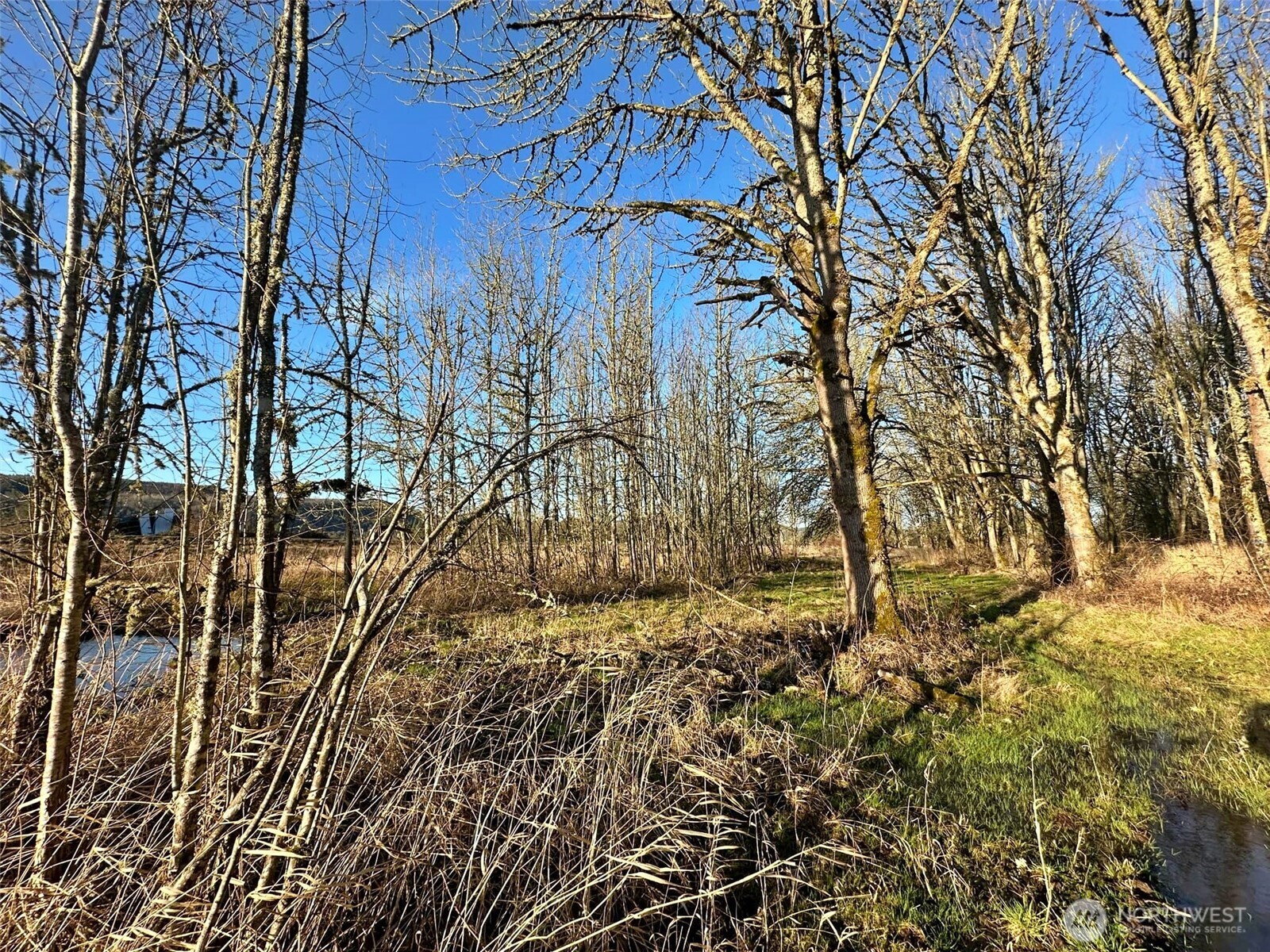 4057 - 51 Us Hwy 12 Property Photo 7