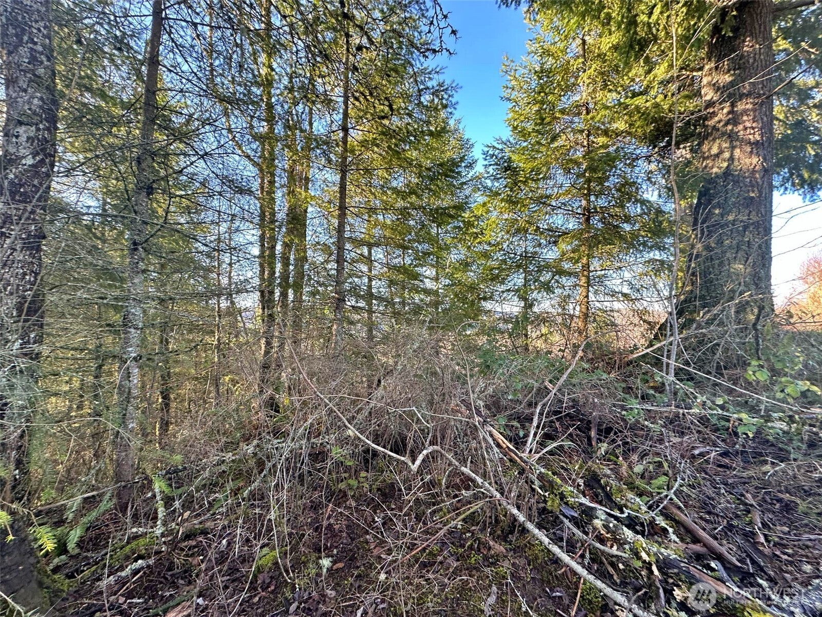 4057 - 51 Us Hwy 12 Property Photo 8