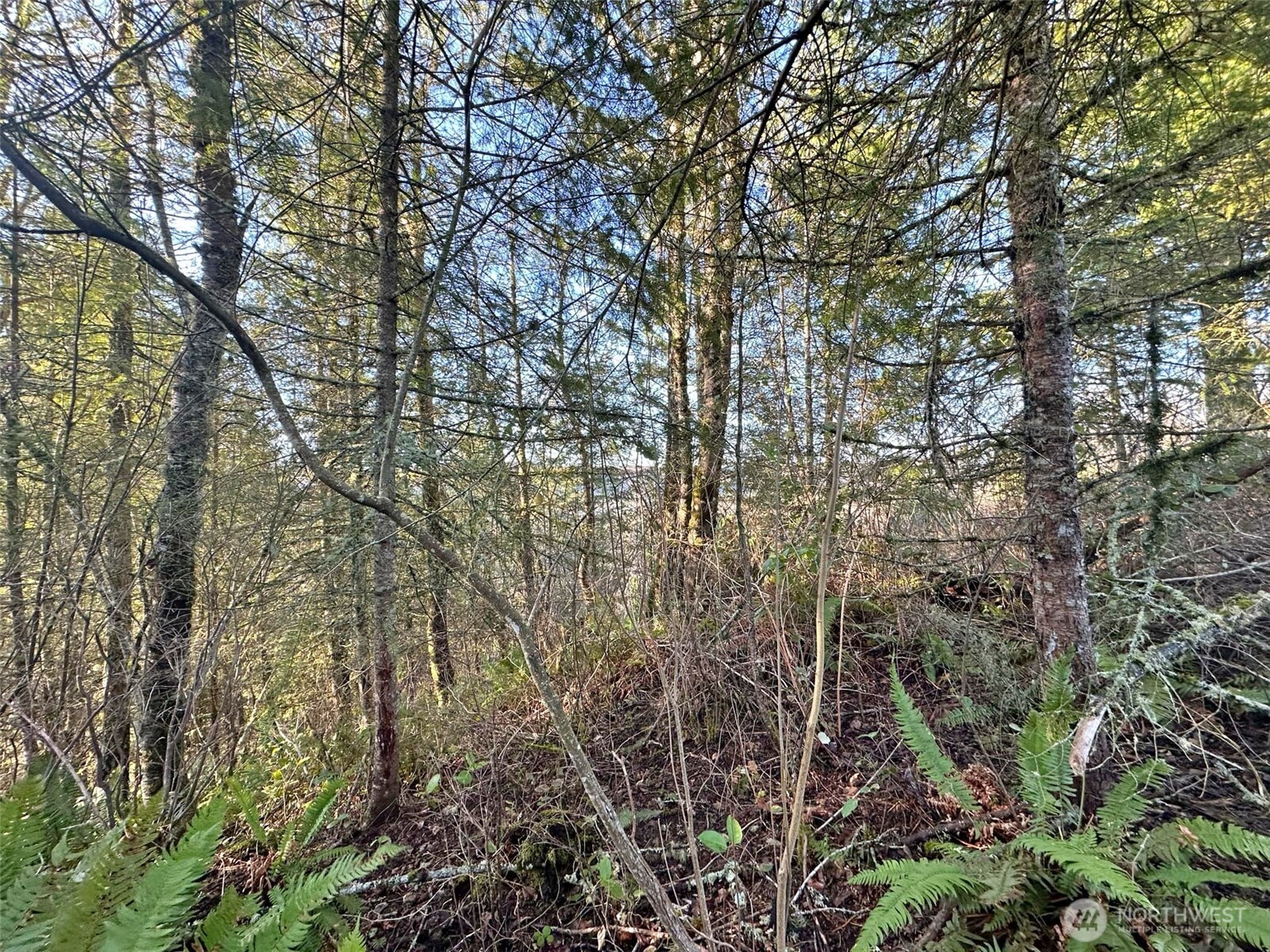 4057 - 51 Us Hwy 12 Property Photo 9