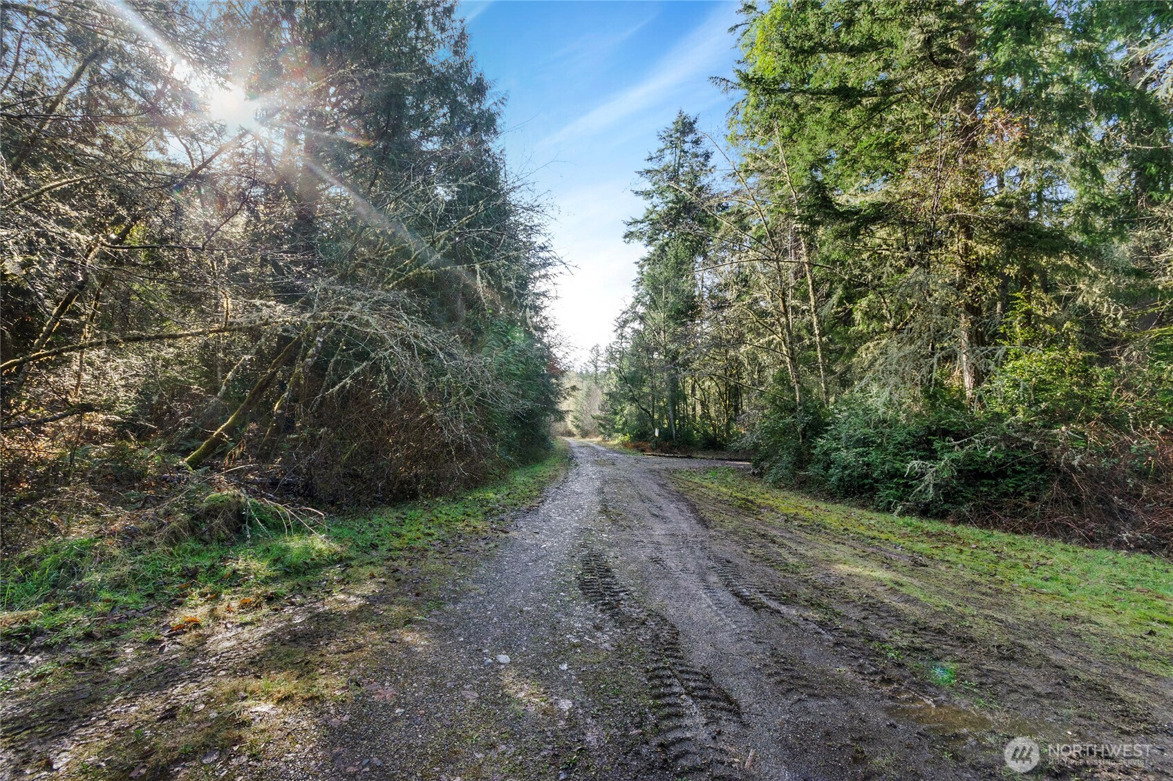 12605 84th Street Ct Property Photo 6