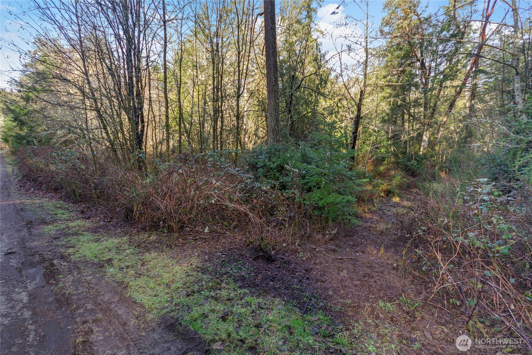 12605 84th Street Ct Property Photo 7