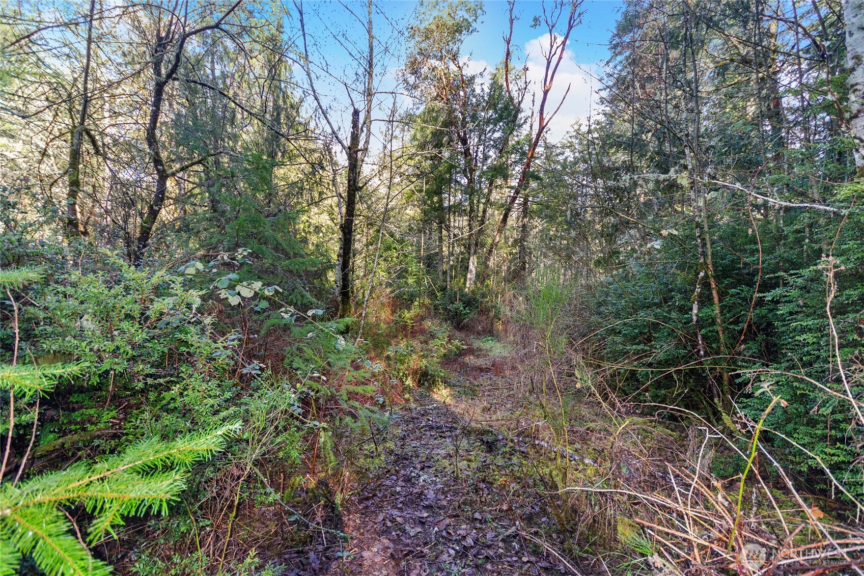 12605 84th Street Ct Property Photo 8