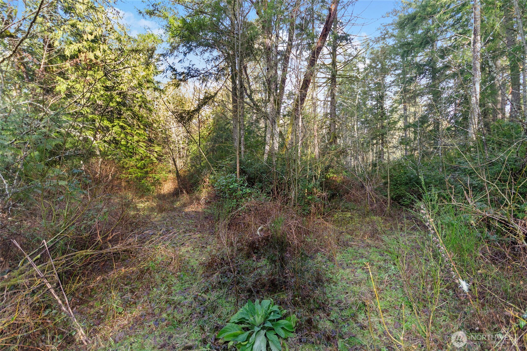 12605 84th Street Ct Property Photo 9