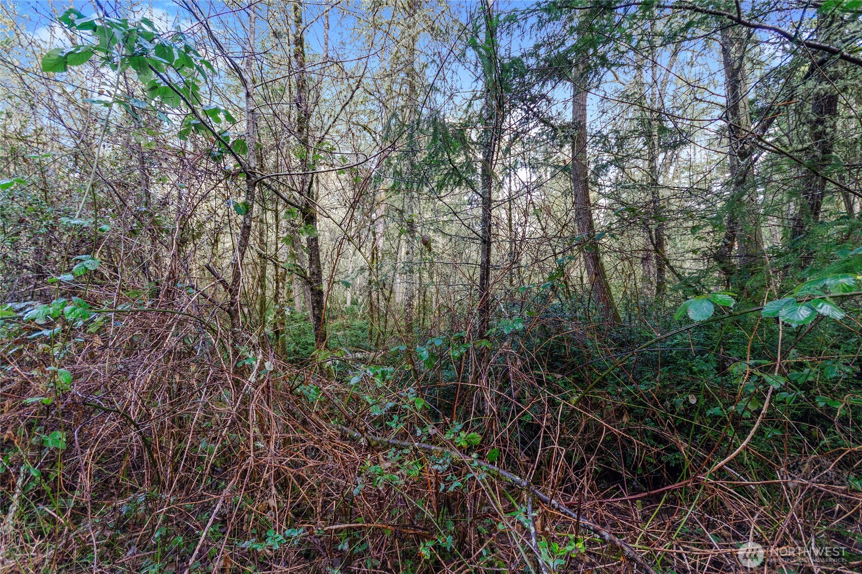 12605 84th Street Ct Property Photo 10