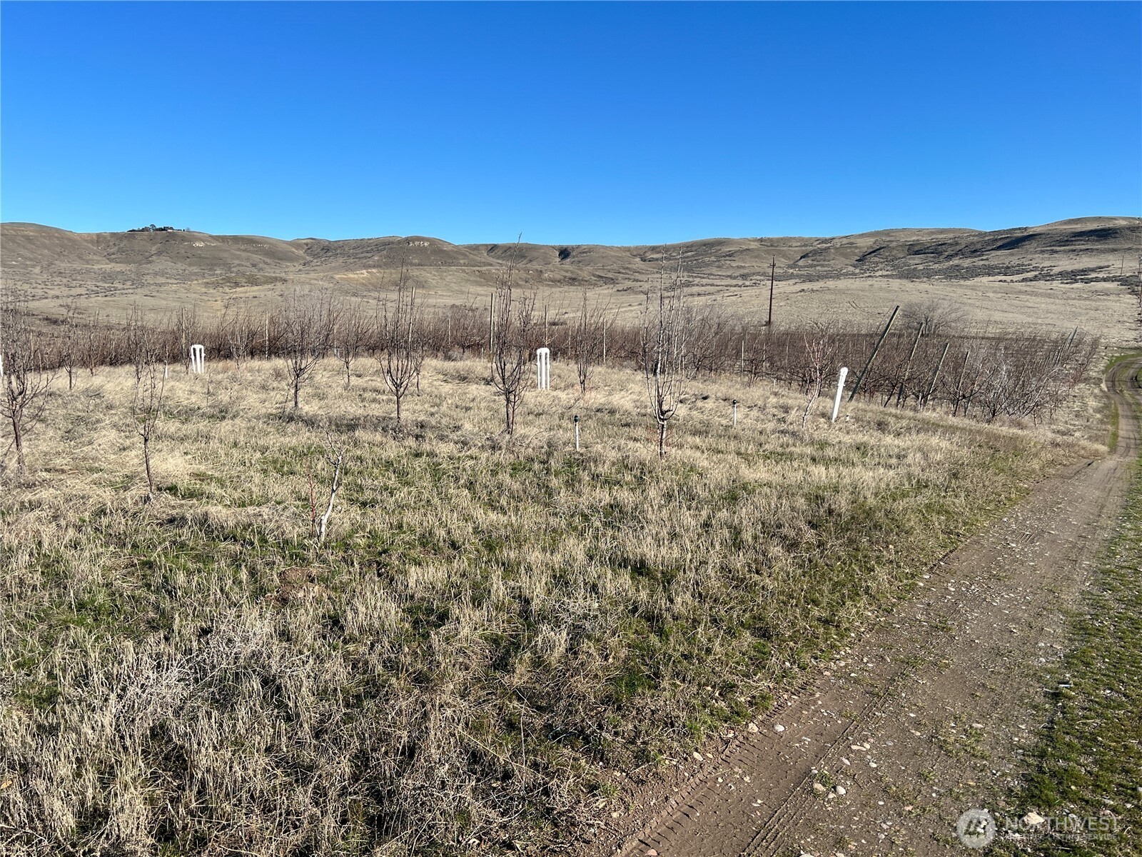 3231 Lombard Loop Road Property Photo 10