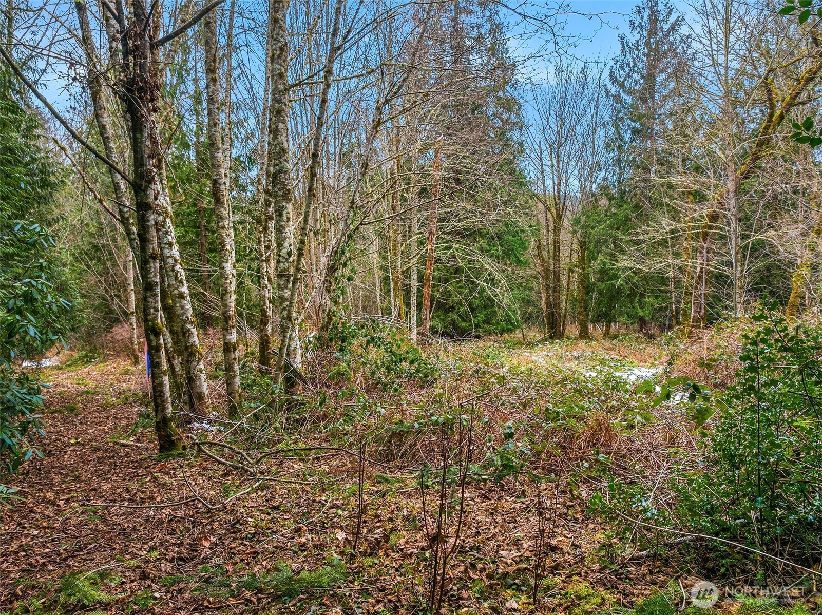 16 Xxx 259th Avenue Property Photo 4