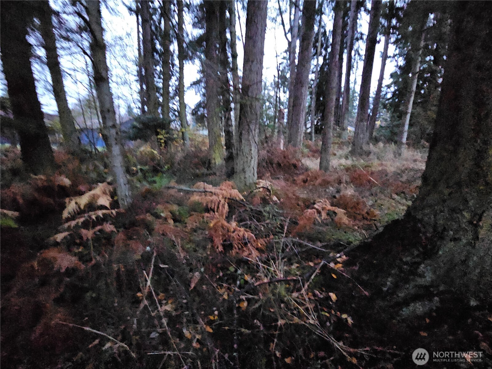 0 Ledgewood Beach Road Property Photo