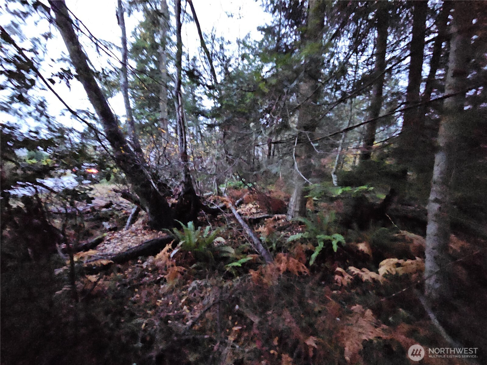 0 Ledgewood Beach Road Property Photo 2