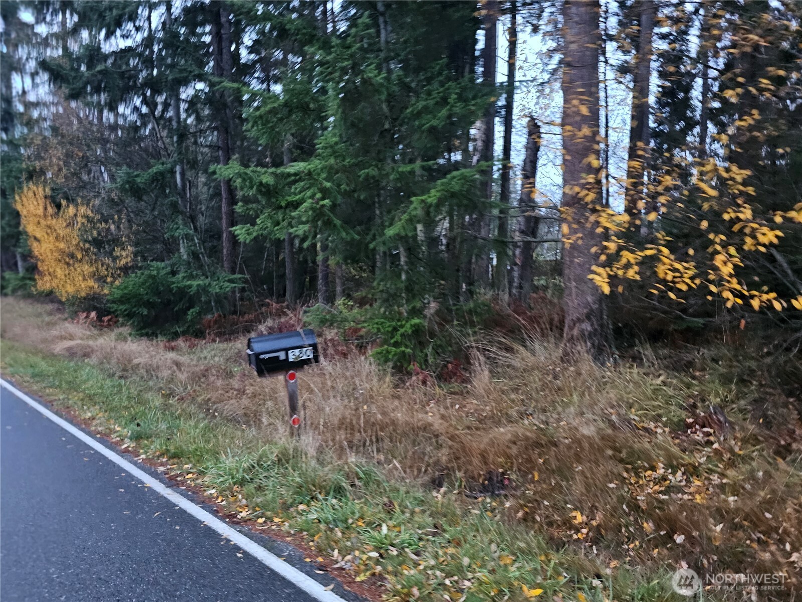 0 Ledgewood Beach Road Property Photo 3