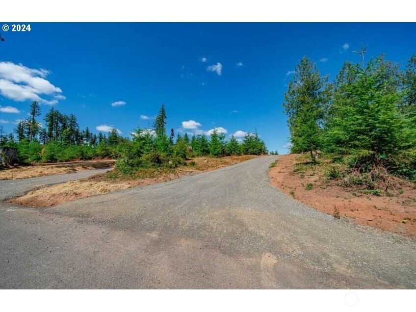 0 Silver Lake Road 9 Property Photo 21