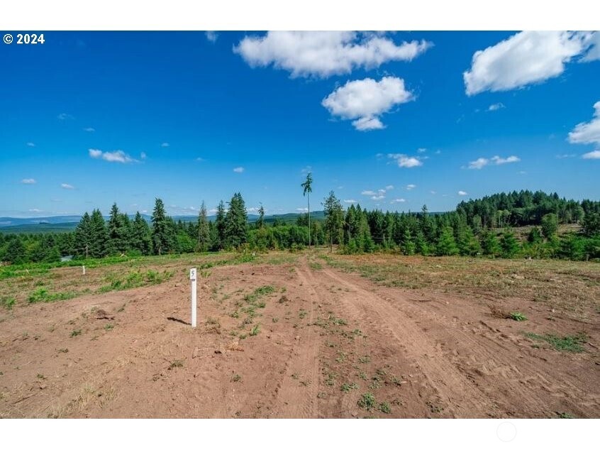 0 Silver Lake Road 9 Property Photo 23