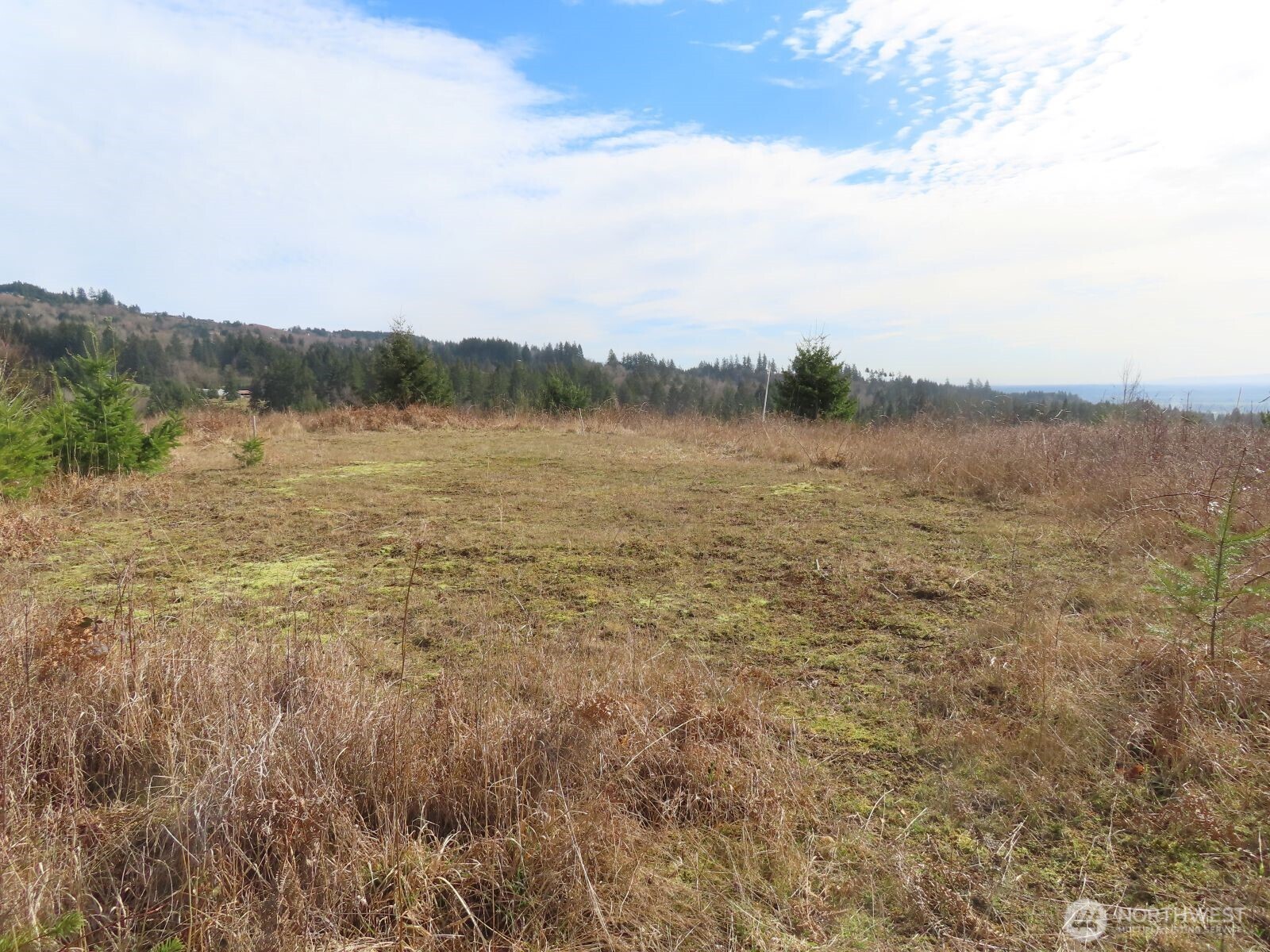 910 Confer Road Property Photo 4