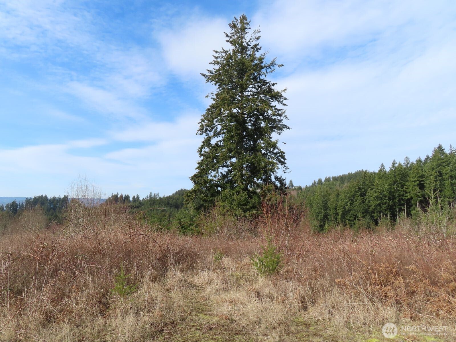 910 Confer Road Property Photo 7