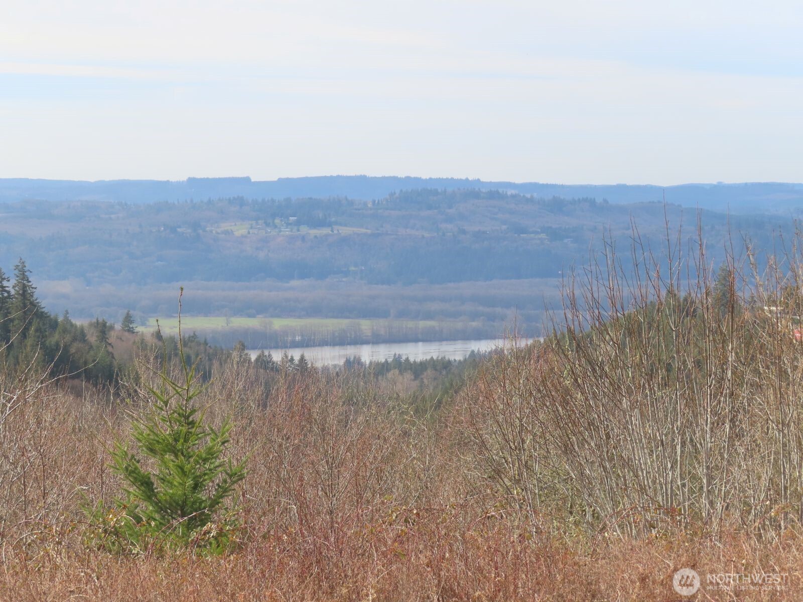 910 Confer Road Property Photo 8
