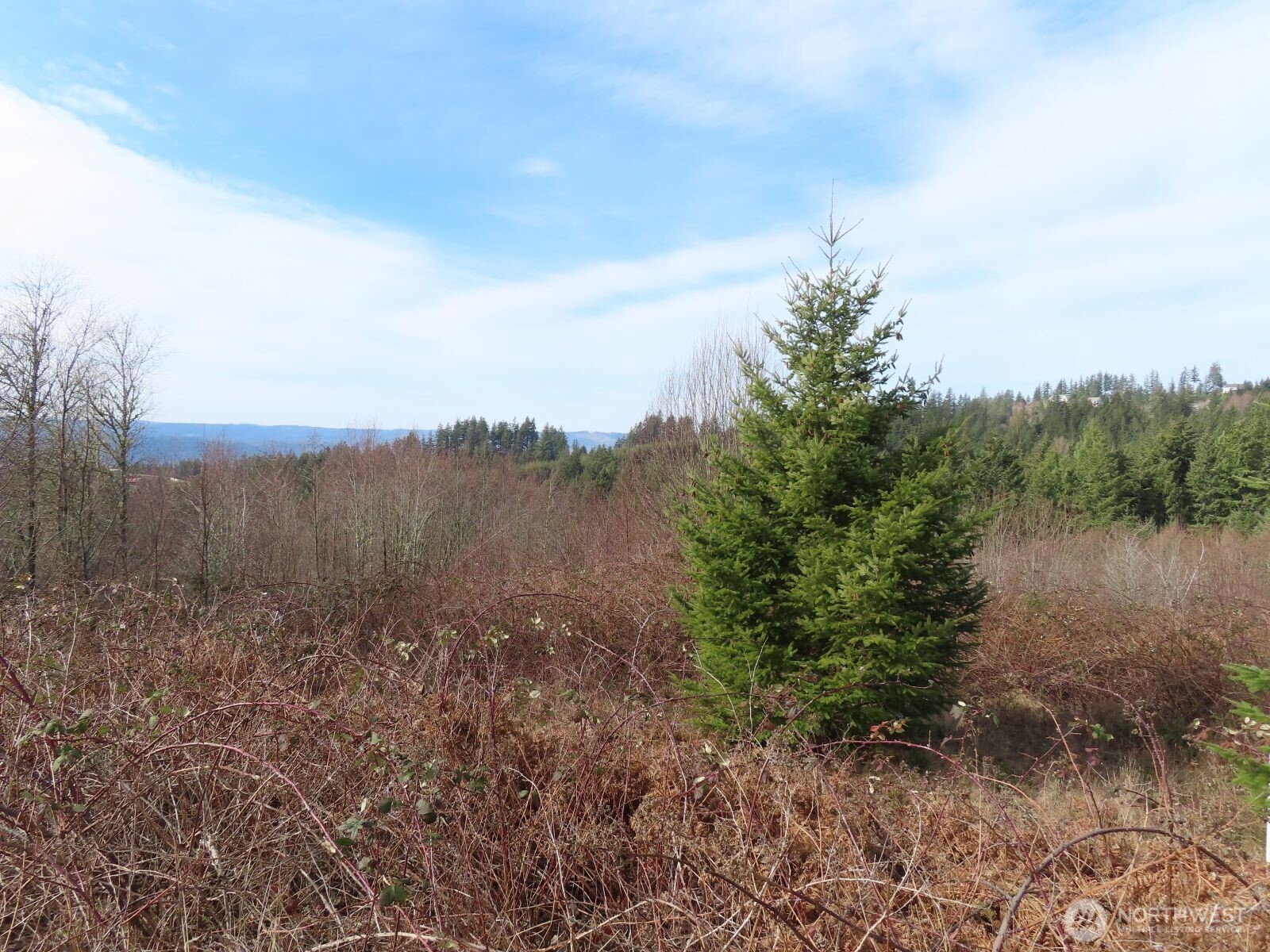 910 Confer Road Property Photo 11