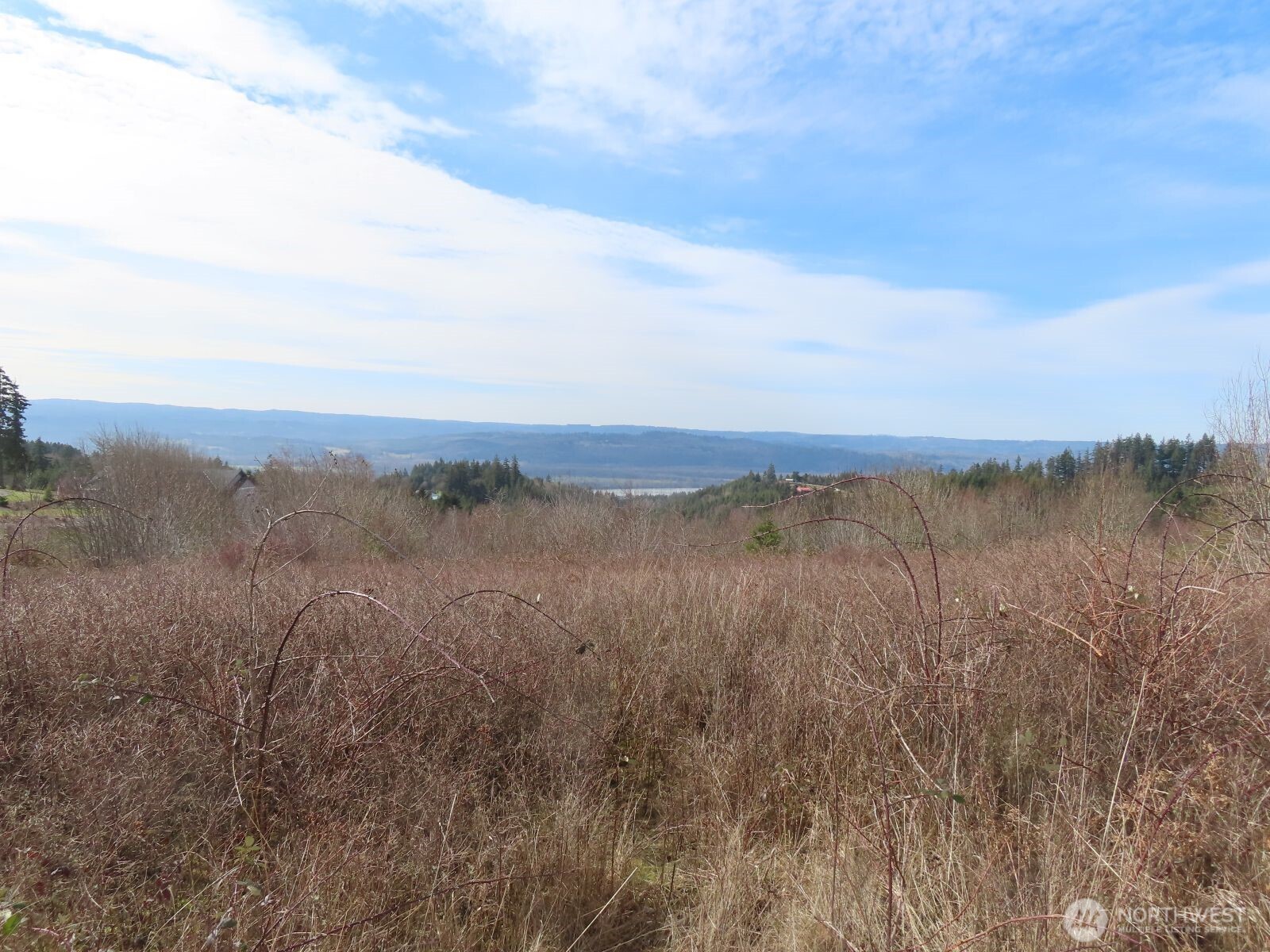 910 Confer Road Property Photo 14