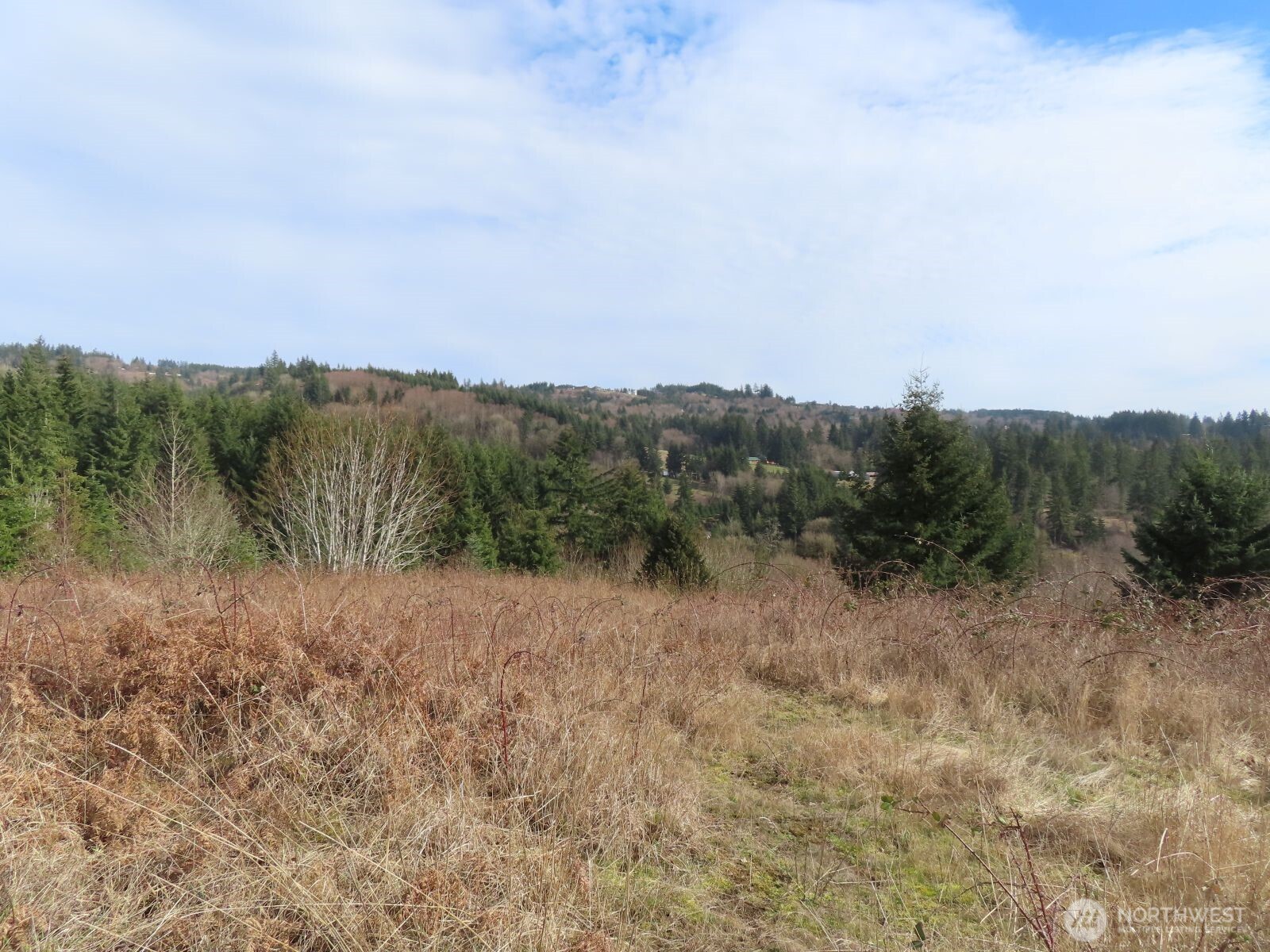 910 Confer Road Property Photo 15