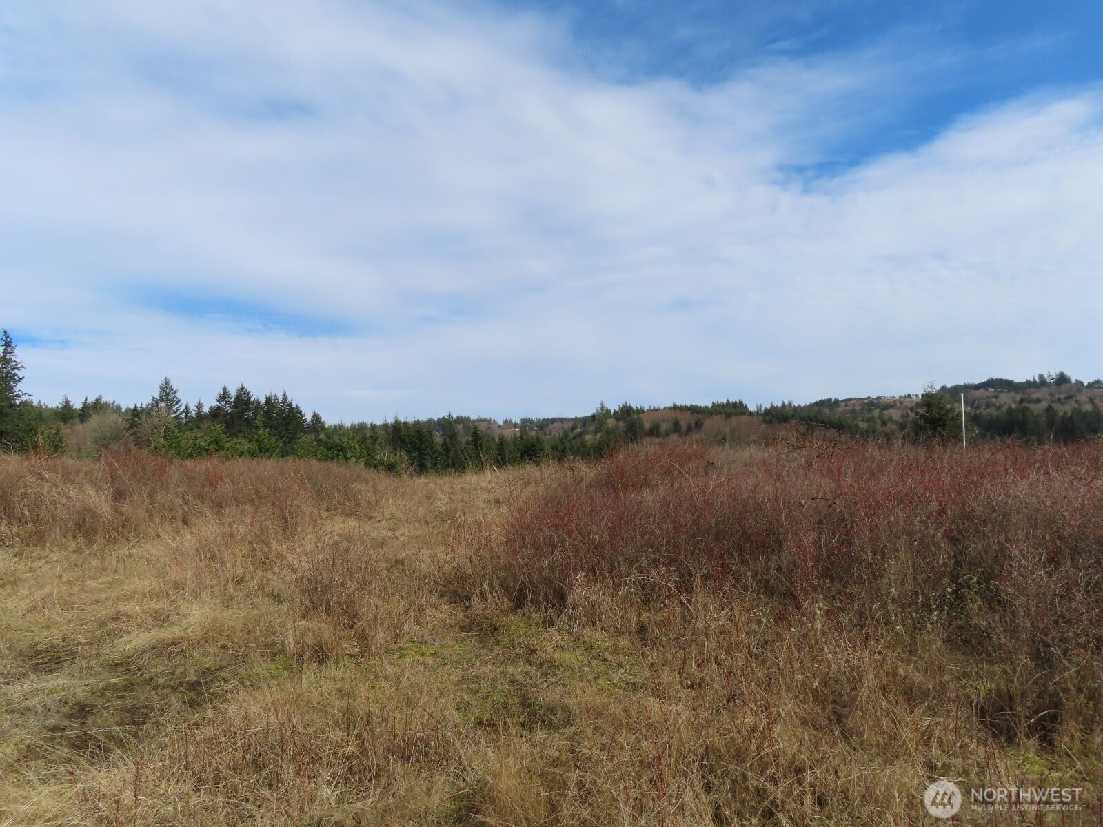 910 Confer Road Property Photo 17