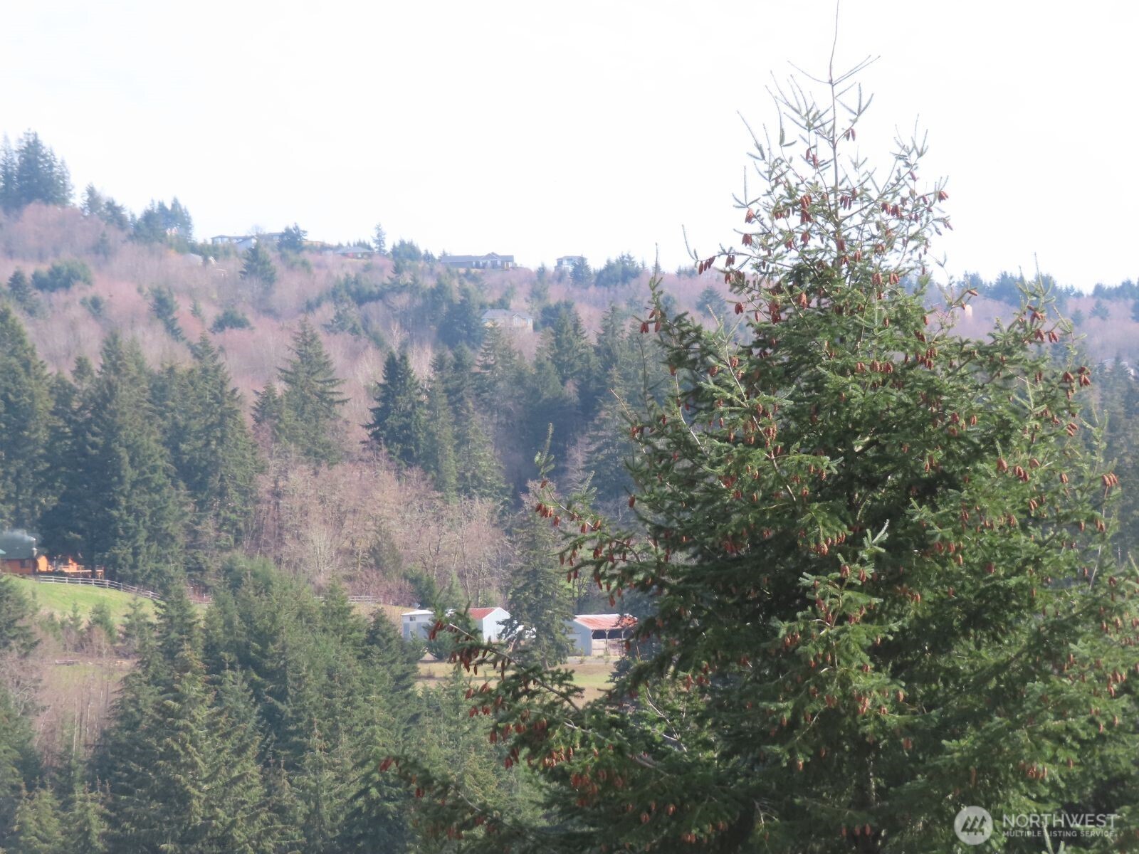 910 Confer Road Property Photo 18