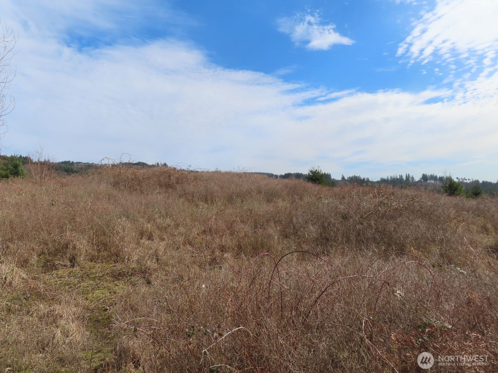 910 Confer Road Property Photo 19