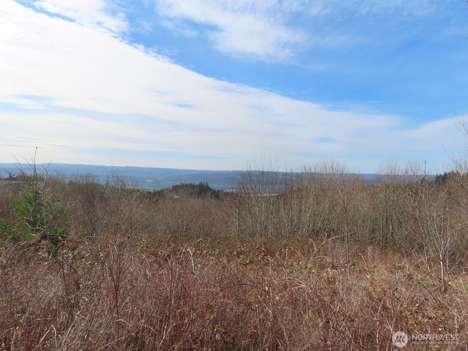 910 Confer Road Property Photo 20