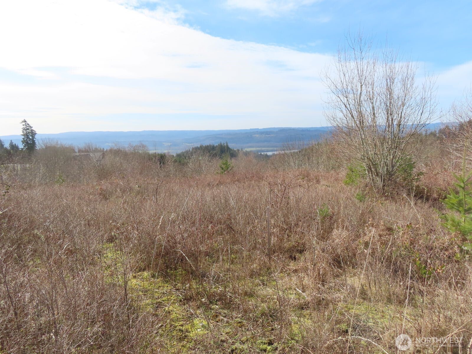 910 Confer Road Property Photo 22