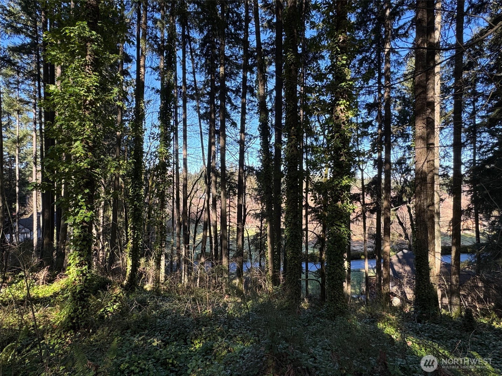 21914 Crest Lane Property Photo 11
