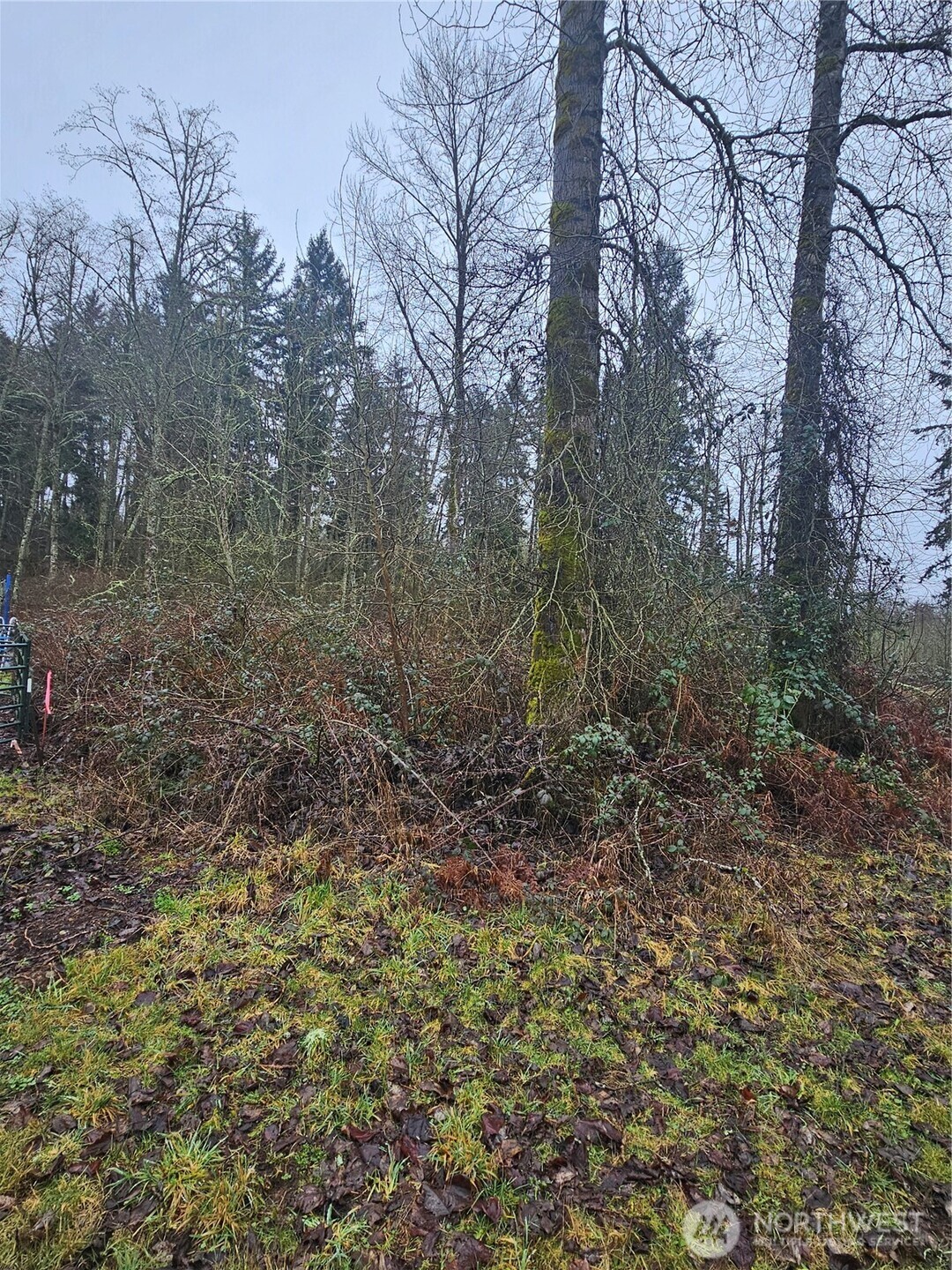 25905 96th Avenue Property Photo 1