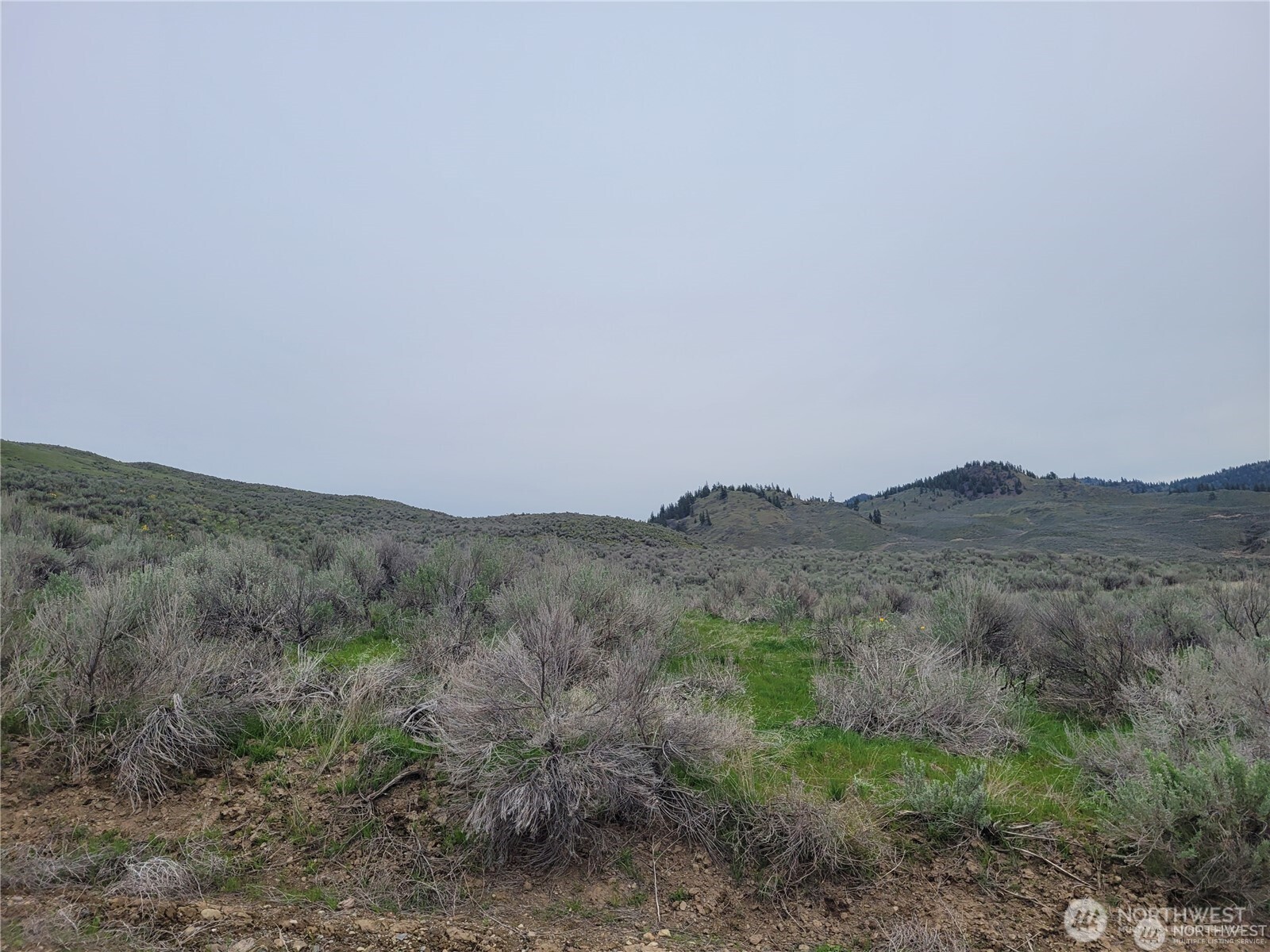 0 Lower White Road Property Photo 11