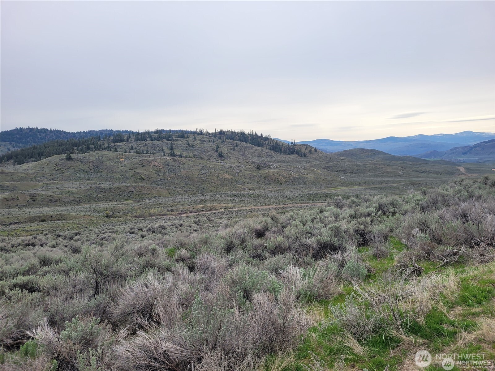 0 Lower White Road Property Photo 18