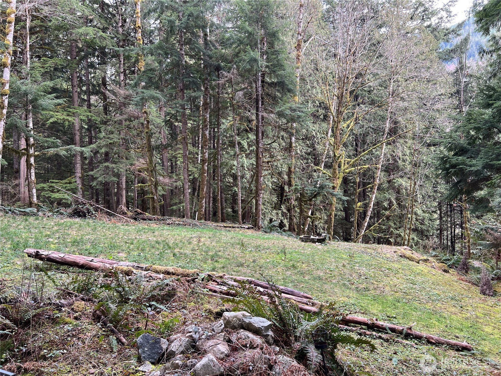 64367 E Cascade Drive Property Photo 2