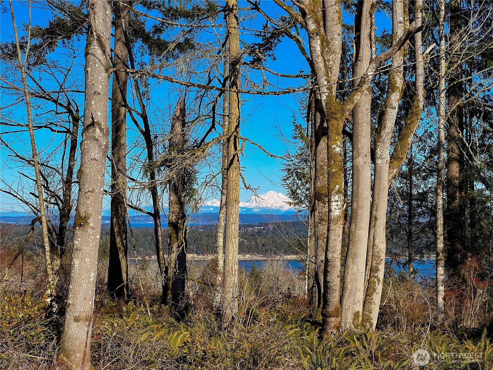 2998 Oak Bay Road Property Photo